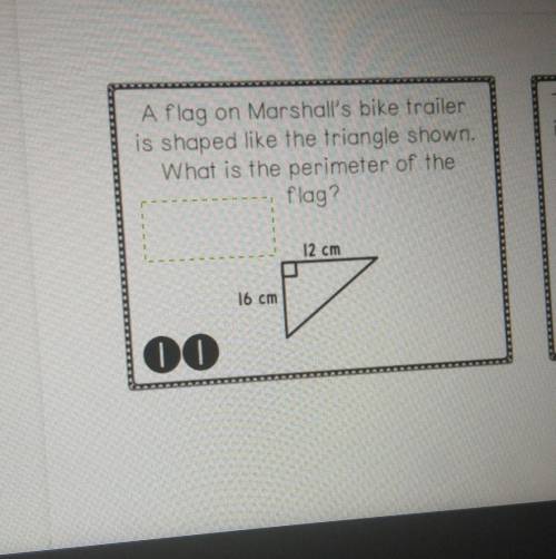a flag on Marshall's bike trailer is shaped like the triangle shown what is the perimeter of the fl
