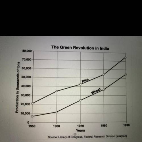 What impact did the Green Revolution have on the rice crop in India