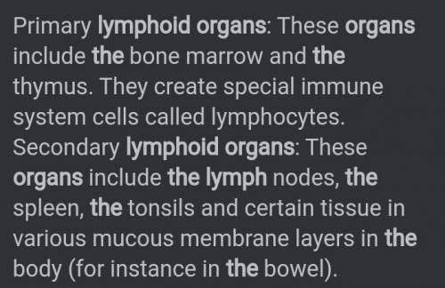 Can someone name and explain each lymph organ?