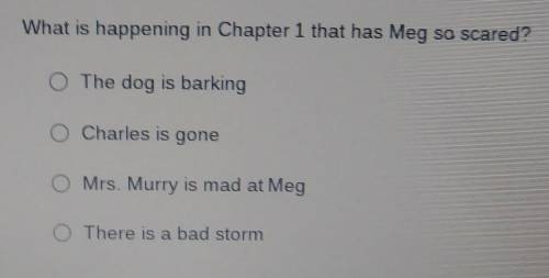 What Is Happening In Chapter 1 that has meg so scared?​