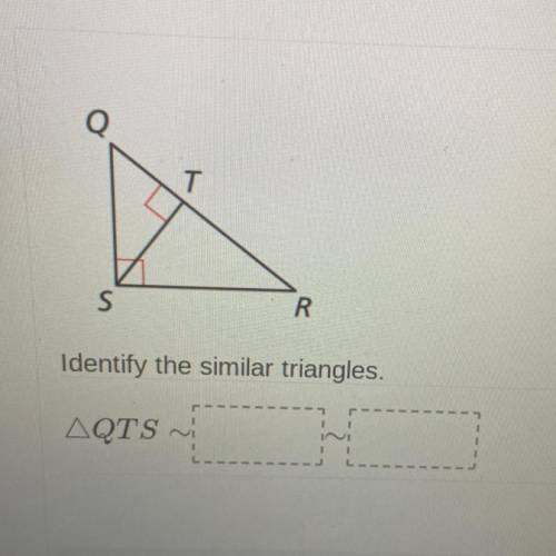 Identify the similar triangles