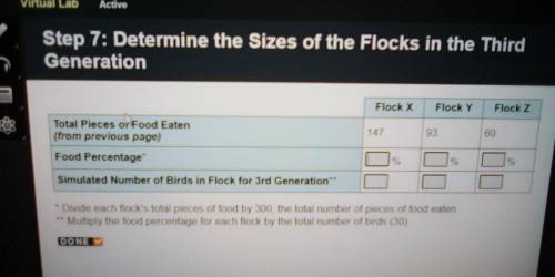 Step 7: Determine the Sizes of the Flocks in the Third Generation

Flock X Flock Y Flock ZTotal Pi