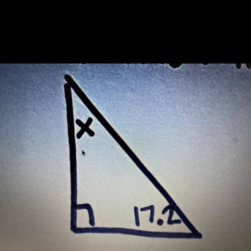 Find the missing angle:
х
17.2