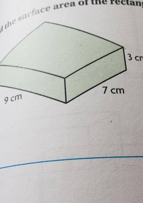 Find the surface area of this rectangular prism .thanks ​