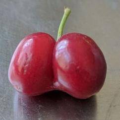 Do you like cherries?