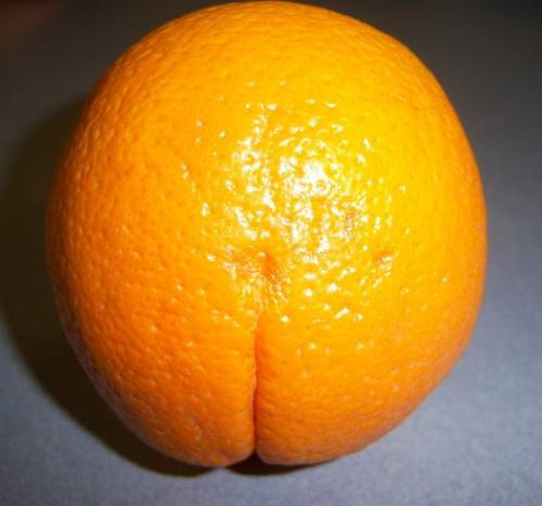Do you like oranges?