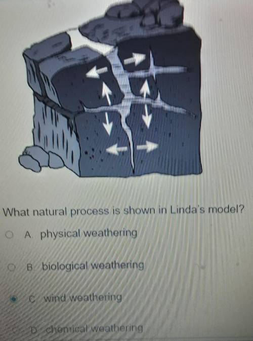 What natural process is shown in Linda's model?​