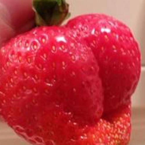 Do you like strawberry?