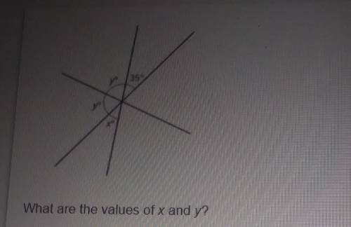 What are the values of x and y​