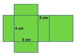 Which solid figure does this net represent?

A) cone
B) square pyramid 
C) rectangular prism
D) tr