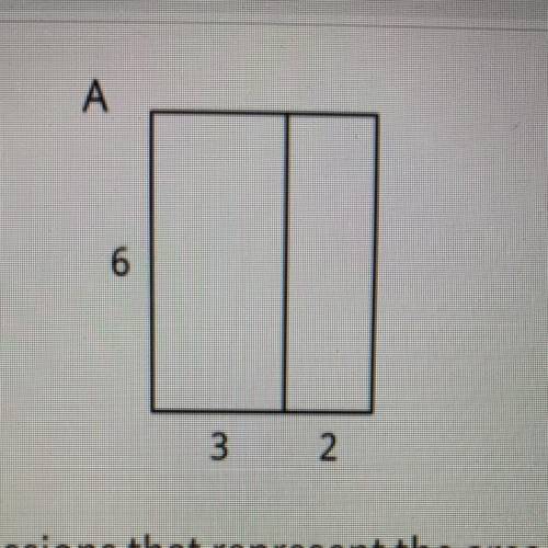 What is the area of this rectangle