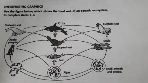 hypotheses on oil spill has been reported on the coastline in which this food web exist how would c