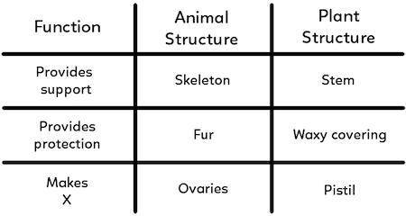Stacy made the following table to compare the functions of plant and animal structures, but she is