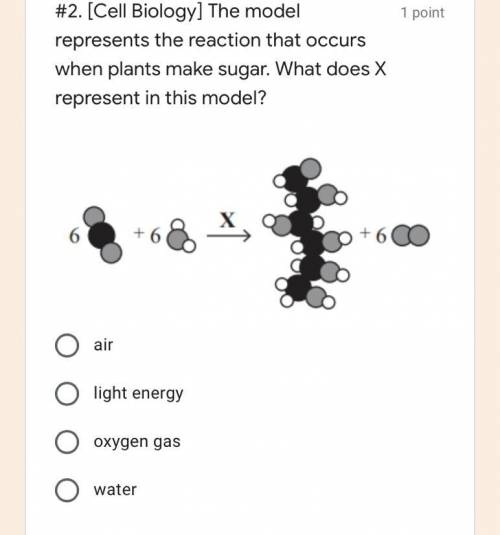 What does x represent in the model