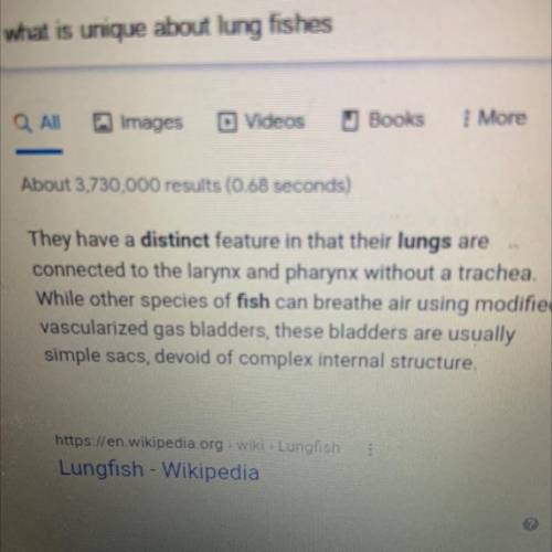 What is unique about lungfishes?