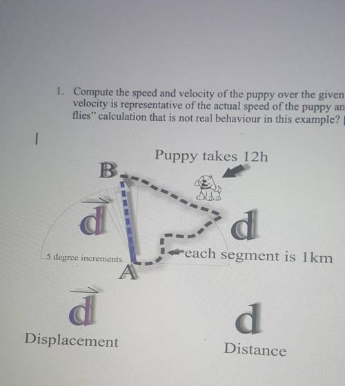 compute the speed and velocity of the puppy over the given interval. which of the speed or volicity