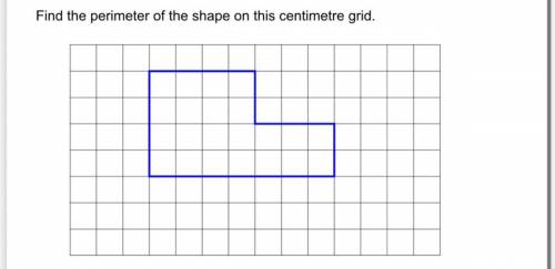 Perimeter of this shape