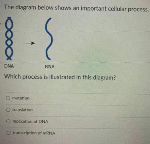 PLEASE HELP ME WITH THIS BIOLOGY QUESTIONN :)) THANK YOUU