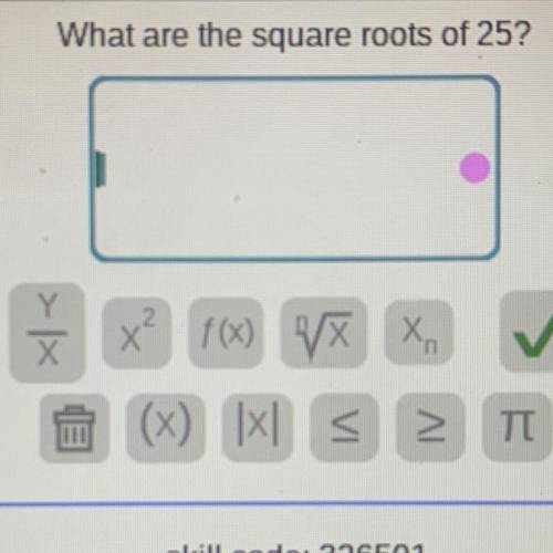PLSSS HELP (What are the square roots of 25?)