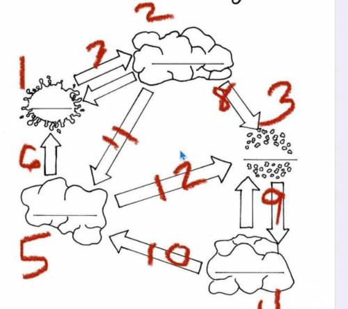 Name all of the processes of the rock cycle... and number them by the picture.... no links or i wil