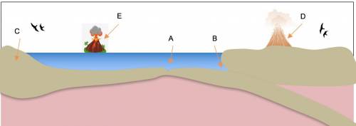 The ocean floor is primarily oceanic crust, but it also includes the edges of the continent (contin