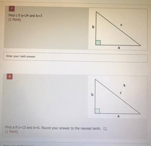 Help with these questions please!