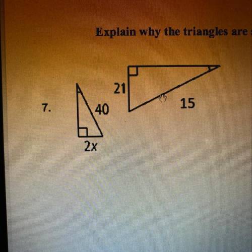 Explain why the triangles are similar. Then find the value of x.