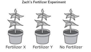 Zach is conducting an experiment to observe which type of fertilizer will allow a plant to grow the