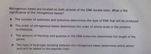 Nitrogenous bases are located on both strands of the DNA double helix. What is the

significance o