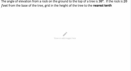 The angle of elevation from a rock on the ground to the top of a tree is 38. if the rock is 2 feet