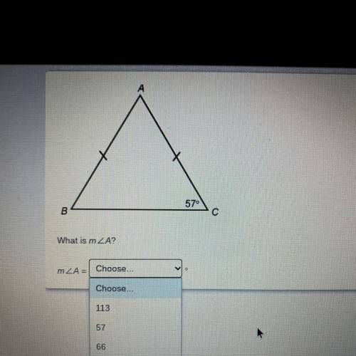 Need help please (serious answers only)