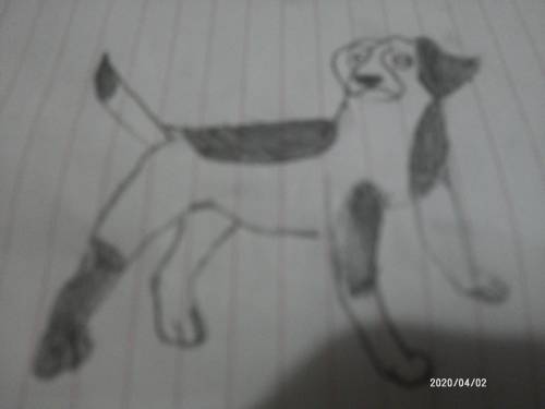 Hi! To anybody:

Please send me a picture of your dog.
Or anything I can draw I am really bored an