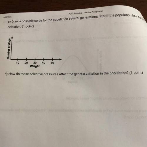 C) Draw a possible curve for the population several generations later if the population has disrupt