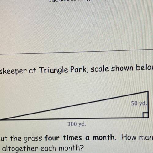 David is a groundskeeper at Triangle park, scale shown below.

David needs to cut the grass four t