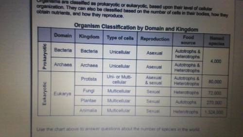 What percent of the named organisms are bacteria and archea? (part/whole x 100 = percent)
