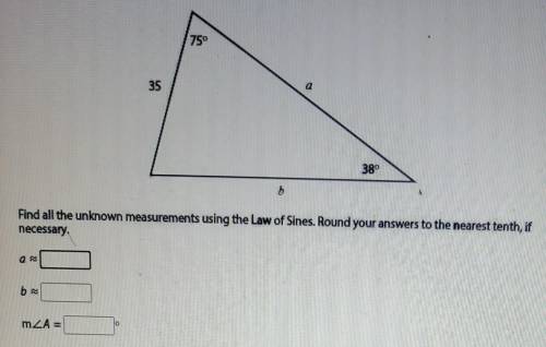 750 35 38° b Find all the unknown measurements using the Law of Sines. Round your answers to the ne