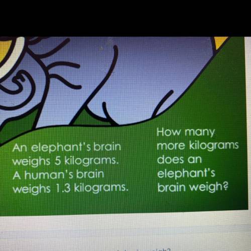 How many more kilograms does an elephant brain weight ? PLEASE HELPPPP