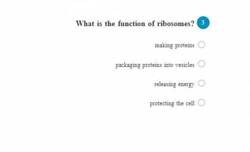 What is the function of ribosomes?