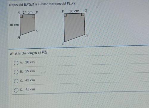 Someone please help me with this question please!! ​