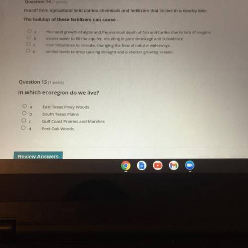 PLEASE HELP ME WITH MY LAST 2 QUESTIONS ASAP