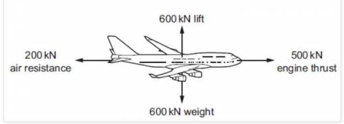 What is the overall force exerted on the plane in the image below?

500 N to the right
200 N to th