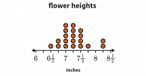 NO links or report

the line plot shows the heights of the flowers in a neighborhood garden.
A lin