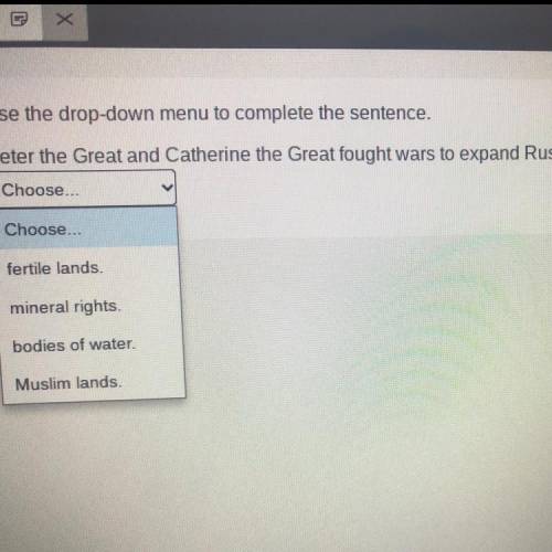 Use the drop-down menu to complete the sentence.

Peter the Great and Catherine the Great fought w