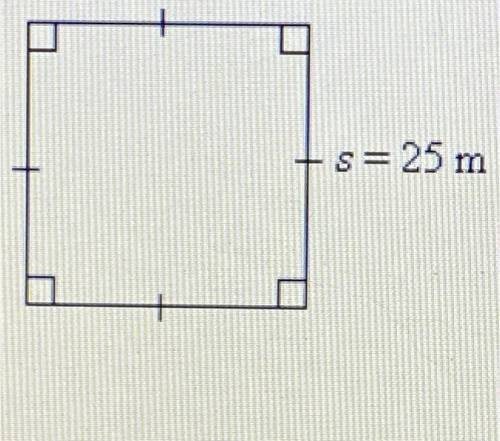 1. Find the area of the figure below.
s=25 m