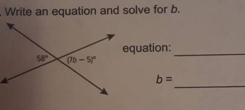 7. Write an equation and solve for b.PLEASE HELP ​