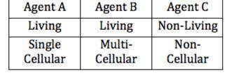 Which of the following would be the correct label for each of the following infectious agents based
