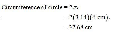 Which is the circumference of the circle? help pls