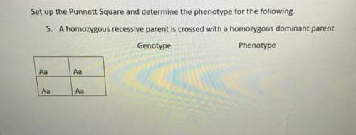 What do I put under genotype and phenotype?