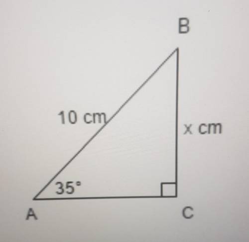 1. Solve for the indicated side length for x.B10 cmXcm35ACx cm​