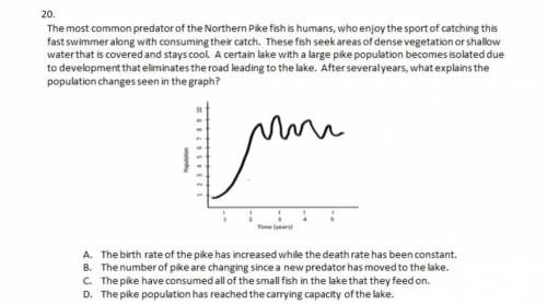 The most common predator of the Northern Pike fish is humans, who enjoy the sport of catching this